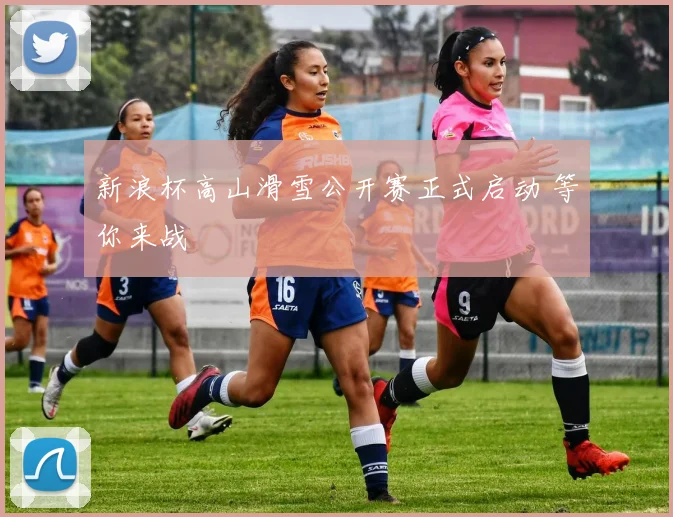 新浪杯高山滑雪公开赛正式启动 等你来战