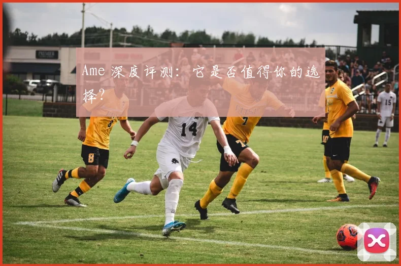 Ame 深度评测：它是否值得你的选择？
